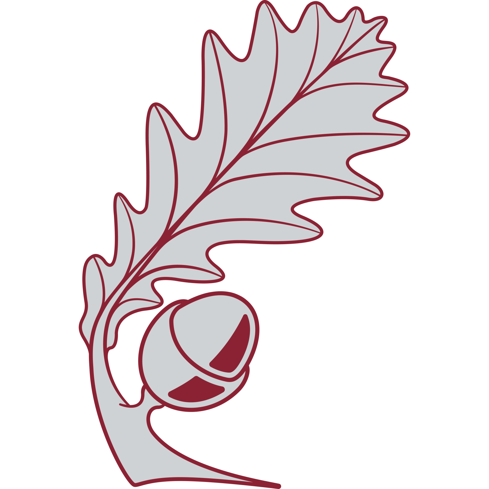 Shire Oak Academy logo